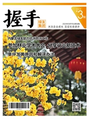 2024第3期